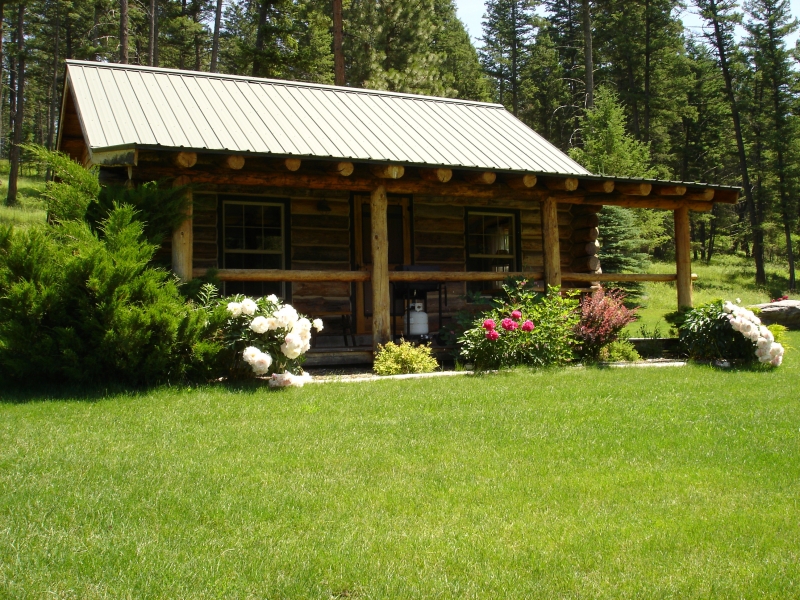 Cabin 2